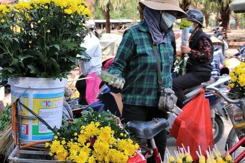 Xuân đã về ở tâm dịch Chí Linh
