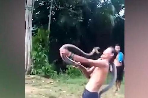 Người đàn ông trêu đùa 'chơi' với rắn, bất ngờ bị rắn độc cắn tử vong