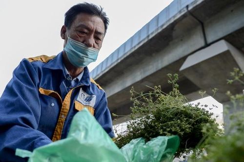 Mùi già thơm dịu chiều cuối năm trên mỗi con phố Hà Nội