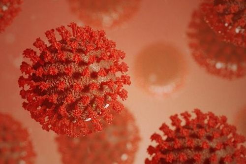 Biến đổi khí hậu có thể thúc đẩy sự xuất hiện của virus Corona