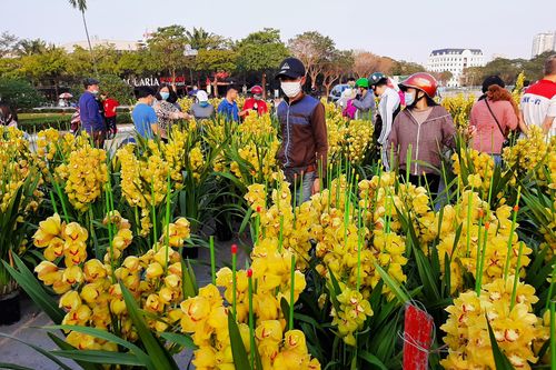 Hà Nội chiều 30 Tết: Đào, quất, hoa tươi cơ bản được giải cứu