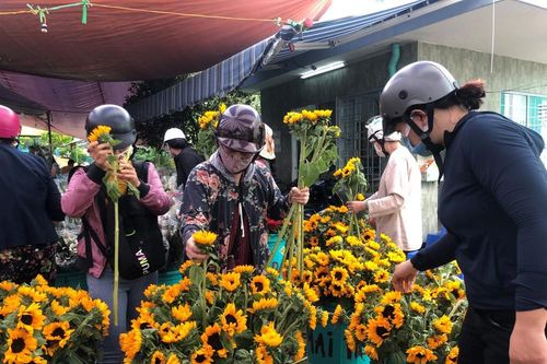 TPHCM: Chợ hoa Hồ Thị Kỷ 'xả hàng' kéo khách
