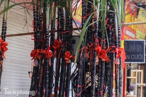 Mía lộc xuống phố chờ đón giao thừa