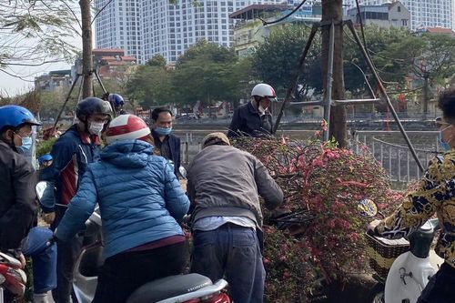 Chiều 30 Tết: Cành đào rẻ như mớ rau, tuyệt nhiên không có cây tiền triệu