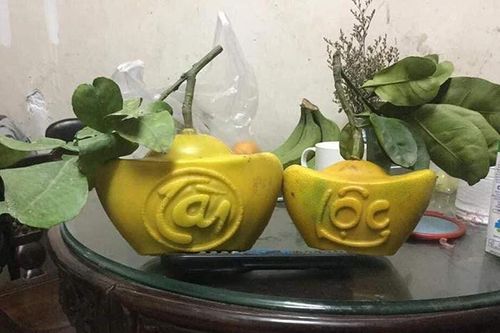 Cúng Tết bưởi tài lộc thỏi vàng 1 triệu/cặp: Dân Thủ đô cầu phú quý