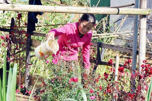 Cái Tết đầu tiên trên bờ của nhiều cư dân vạn chài ở Nghệ An