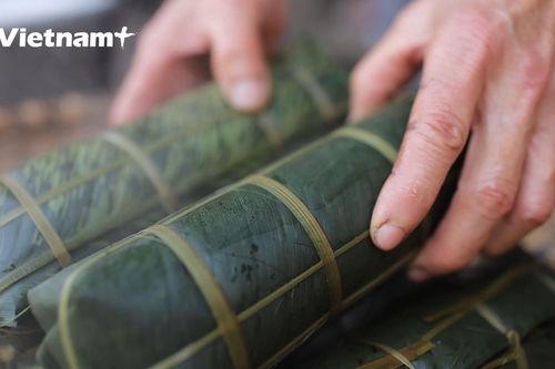 Làng nghề bánh chưng Bờ Đậu rộn ràng những ngày cận Tết