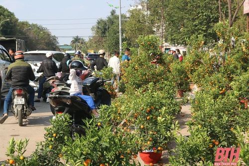 Phố hoa chiều 30 Tết