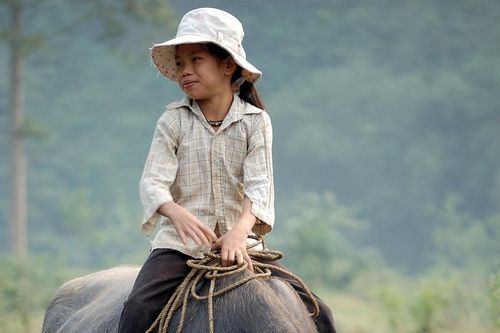 'Đi cày' trong cách ăn nói của người Việt
