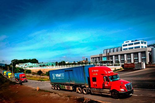 Sức xuân trên những khu công nghiệp