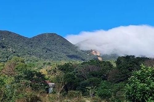 Xuân về bên chân đèo Sa Mù