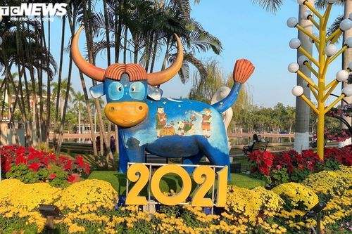 Tạo hình 'Trâu 2021' thú vị, hút khách tham quan ở đường hoa xuân Bắc Ninh
