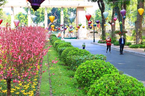 Thời tiết thuận lợi cho người dân Thủ đô vui xuân, đón Tết