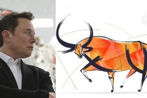 Mùng 1 Tết, tỷ phú Elon Musk đăng bài chúc mừng năm Tân Sửu, cư dân mạng phát hiện ngay điều thú vị