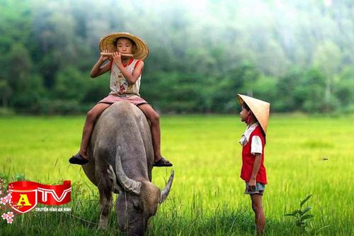 Hình tượng trâu trong tiềm thức người Việt