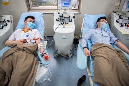 Đi hiến máu mùng 1 Tết
