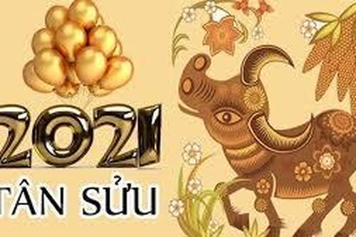 Chuyện trâu năm Tân Sửu