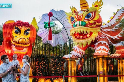 Hình ảnh ấn tượng Tết mùa dịch của châu Á