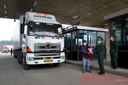 Gần 200 tấn thanh long xuất khẩu 'xông đất' cửa khẩu Kim Thành (Lào Cai)