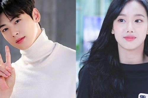 Cha Eun Woo (Astro) và Naeun (April) là 2 Idol có visual đẹp nhất trong mắt các Idol