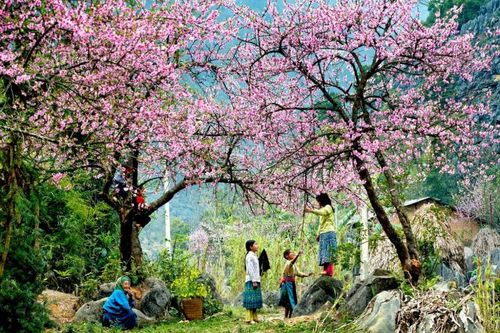Việt Nam - Tổ quốc ơi sao người đẹp thế