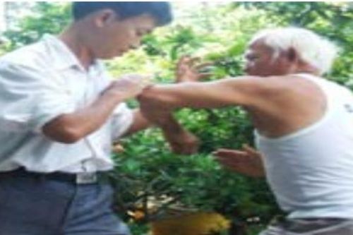 Năm Sửu nói chuyện võ trâu