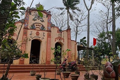 Cây dừa hai ngọn và ẩn ý một vùng đất