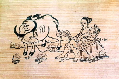 Về làng Hồ, nghe chuyện tranh trâu Tết