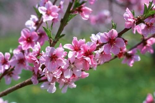 Những việc nên làm trong ngày đầu năm mới