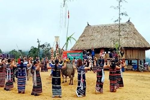 Tết này, đồng bào Cơ Tu ở vùng cao Quảng Nam đã bỏ tục 'đâm trâu'