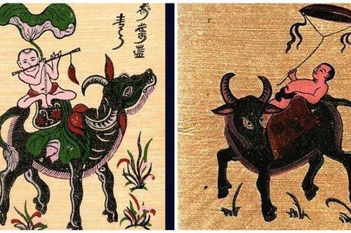 Con trâu, một biểu tượng đặc sắc của văn hóa Việt Nam