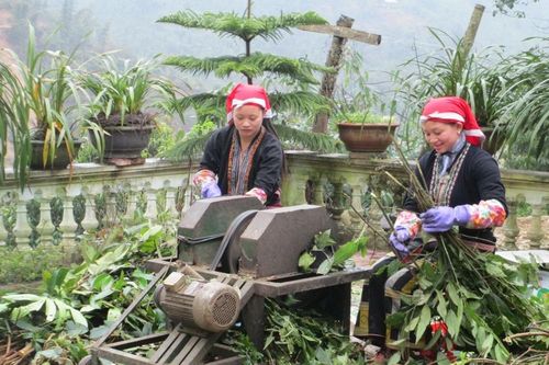Đổi thay ở xã vùng cao Tả Phìn