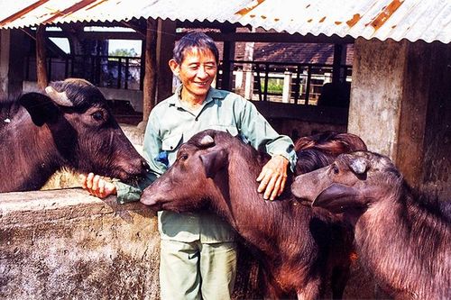 Nhà văn Văn Biển kể chuyện Hồ Giáo nuôi trâu