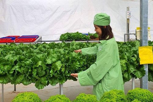 Khát vọng một vùng nông nghiệp thông minh