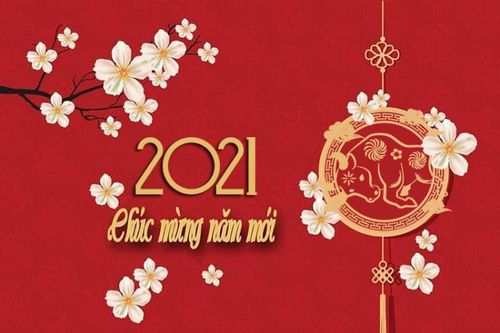Lời chúc Tết Tân Sửu hay nhất dành cho sếp, đồng nghiệp và bạn bè