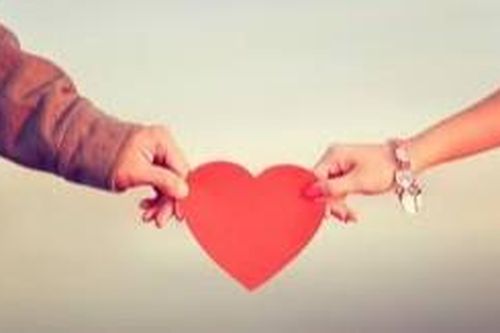 Ngoài hoa hồng, những loài hoa nào có thể tặng trong ngày Valentine?
