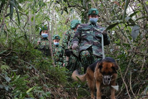 'Qua Tết, hết dịch, anh về cưới em'