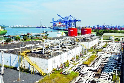 PV GAS: Gặt hái nhiều thành công trong một năm đầy biến động