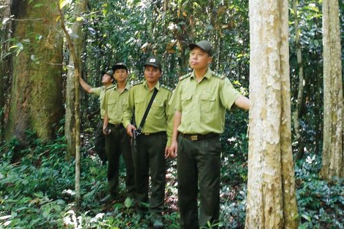 Rong ruổi chiến khu Đ