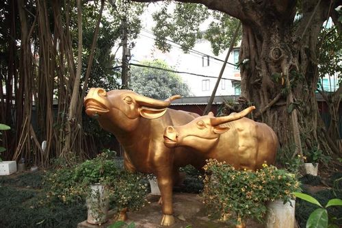Bật mí về Thần Trâu vàng phủ Tây Hồ