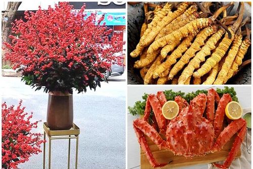 Kỳ quái thú chơi 'đốt tiền' ngày Tết của đại gia Việt
