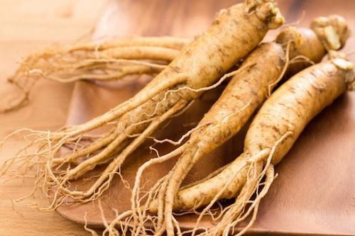 Nhân sâm ở đâu có chất lượng tốt nhất?