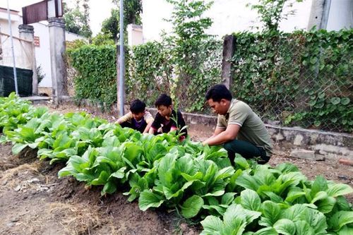 Mùa Xuân ấm áp và tràn đầy yêu thương