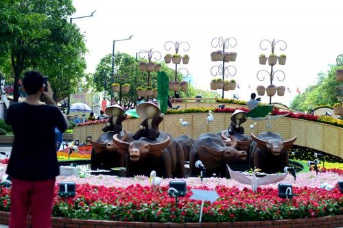 Người dân TPHCM đeo khẩu trang, check-in 'sang chảnh' ở đường hoa Nguyễn Huệ
