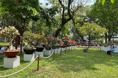 Nơi quy tụ 'kỳ hoa dị thảo' bậc nhất TPHCM vắng lặng khác thường