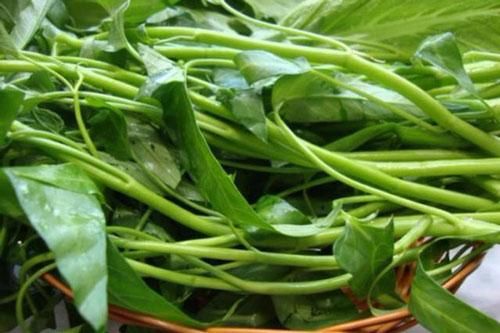 Rau muống: Cực tốt và cực độc, biết mà tránh khi ăn kẻo 'rước họa vào thân'