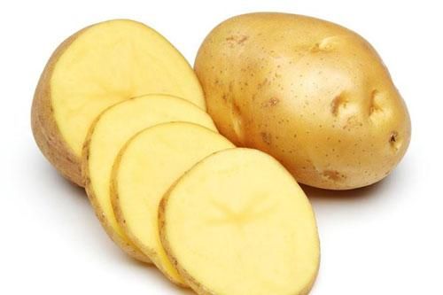 8 thực phẩm rất dễ gây ngộ độc