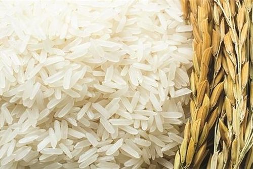 Vòng nguyệt quế cho hạt gạo làng ta