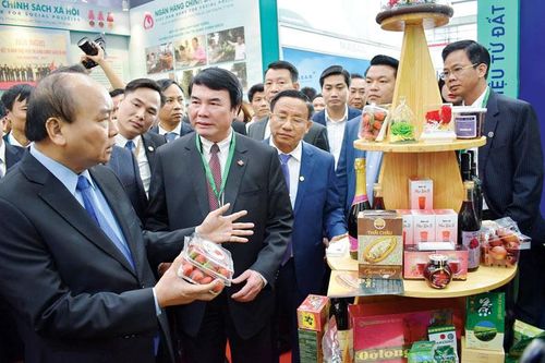 Thúc đẩy chiến lược tăng trưởng xanh