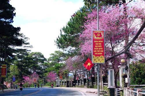 Năm mới, niềm tin và động lực mới!